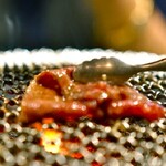 炭火焼ホルモン　ぐう - 