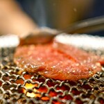 炭火焼ホルモン　ぐう - 
