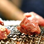 炭火焼ホルモン　ぐう - 