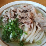 Udon Sanka - 肉かけうどん冷　750円