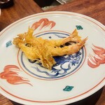 旬彩天 つちや - 車海老