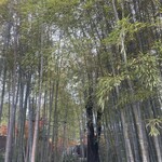 パーラー 果物小町 - 