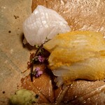 あさば - メイチダイ　は　身がしまり　アオリイカ　自家製唐墨をまぶして　　ねっとり　あまい