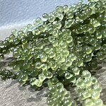 焼きもの家 慶 - 刺し盛りの下敷きになって居たこれが美味しくて、これは何ですかとケータさんに聞くと、海ぶどうだそう。そういえば昔他で食べた事あるけど、美味しいと思った記憶は無い。これ、ピンで主役で、売れると思う。