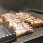 河南テジチッ - 