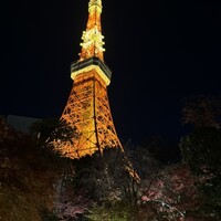 東京 芝 とうふ屋うかい - 