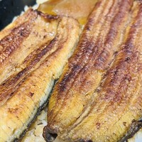 割烹 蒲焼 大沼 - 