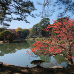 Rikugien Sakura Chaya - 快晴で色づき進む紅葉