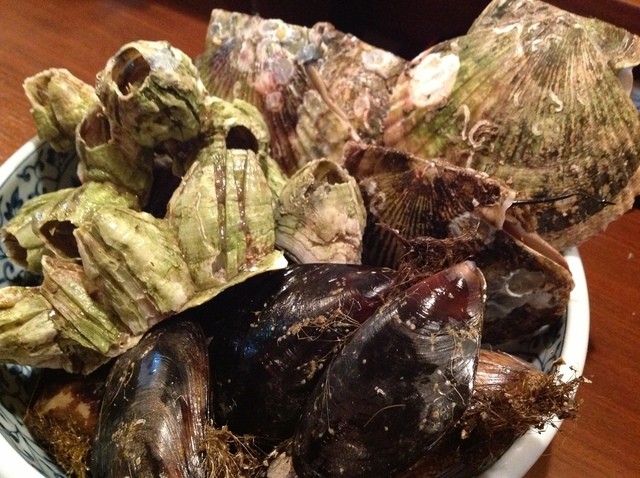 居酒屋あきちゃん - 本八戸（焼き鳥）の写真