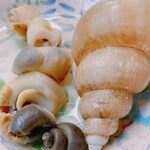 菊一 - おでん（梅貝）