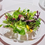 レフェルヴェソンス - 