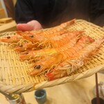 鮨楽座 八の樹 - 