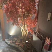 しゃぶしゃぶ 吟半 お台場店 - 紅葉みたいでライトアップ感も素敵✨