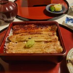 Unagi Idumi - 