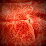 薩摩の牛太 - 料理写真:こだわりのタレと共に是非ご賞味下さい。