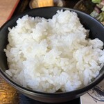 Toro Masa - ご飯(並盛り)