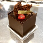 Cacaotier Gokan - 