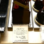 Cacaotier Gokan - 