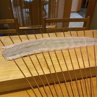 わたべ - 焼く前うなぎちゃん。ものすごく綺麗。