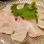 創彩和房ふじた - ちゃんと寝かせたクエ