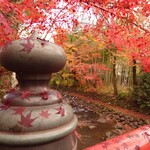 あさば - 修善寺は今まだ紅葉