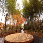 あさば - 修善寺は今まだ紅葉