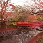 あさば - 修善寺は今まだ紅葉