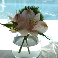 シグネチャー - 