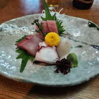 浅草 魚料理 遠州屋 - 刺身4点盛り