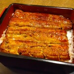 Unagi Kanda Miujinshita Kigawa - 