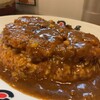 日乃屋カレー JR川崎タワー店