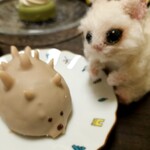 カズノリ イケダ アンディヴィデュエル - コンニチワー