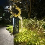 キャトルラパン - 新ダイビルのお庭はキラキラで素敵♡