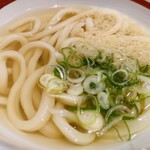 Udon Shisei - メニュー:ロースカツ丼+ミニうどん ¥950(税込)