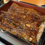 Unagi Ikeda - 