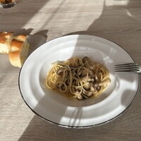 スミレオオサカ - 