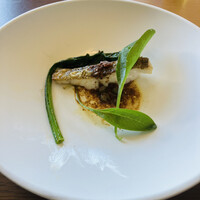 MAIN DINING by THE HOUSE OF PACIFIC - 