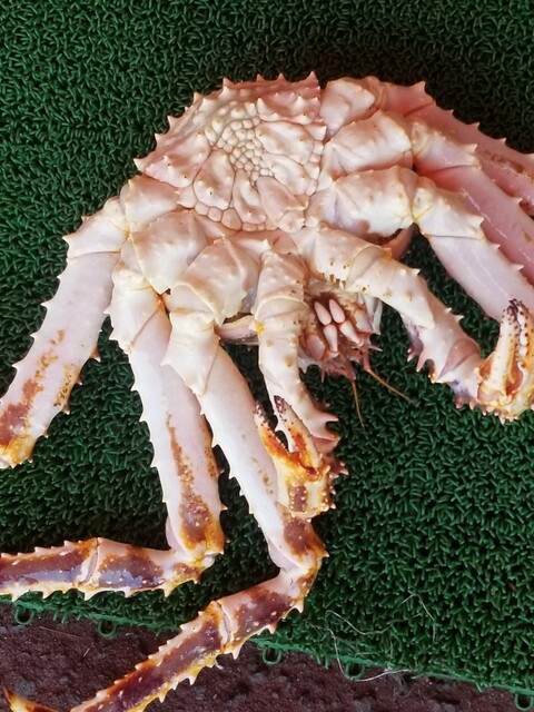 蟹商 本店（カニショウ） - 函館駅前（その他）の写真