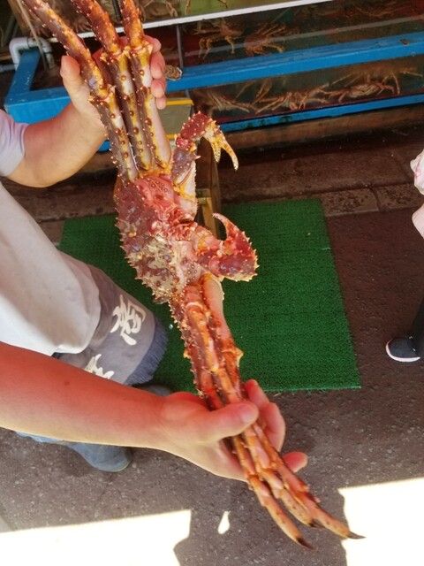 蟹商 本店（カニショウ） - 函館駅前（その他）の写真