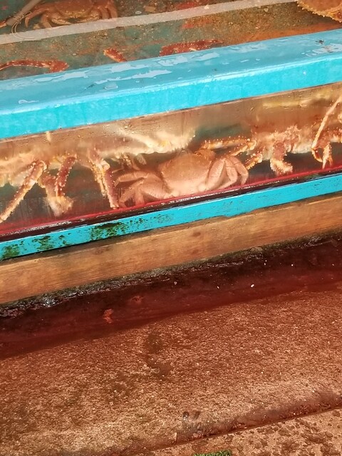 蟹商 本店（カニショウ） - 函館駅前（その他）の写真