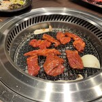 ほたる翔 - 2312_ほたる翔_肉盛り合わせ(400g)＠4,800円_ロース、カルビ、ハラミ、ウインナー、野菜盛_ロースターなので匂いもあまり気になりません