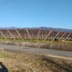 農カフェ クルール - 