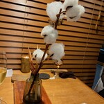 セララバアド - 