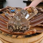 日本料理 久丹 - 