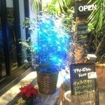 YO-HO's cafe Lanai - クリスマスのライト（青）