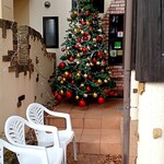 アルバトロス - 