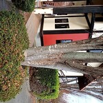 アルバトロス - 