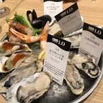 Oyster Plates - 