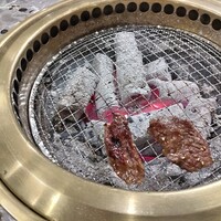 川崎名物 炭火焼肉 食道園 - 