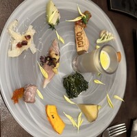 オッジ ダルマット 西麻布店 - 